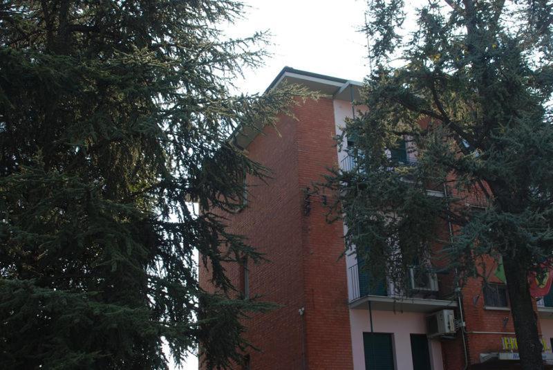 Hotel Tuscolano Болонья Екстер'єр фото
